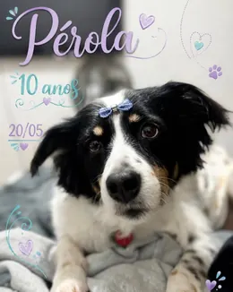 Post do Instagram comemorando os 10 anos da paciente Pérola